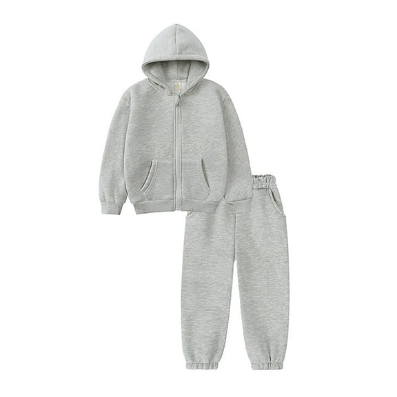 Zshosam Girls Outfits Kids Girls Hoodies & Sweatpants Set, Casual Printed 2 Piece Fall Sweatsuits Size 2T 3T,(Light Gray 2-3 Years)
