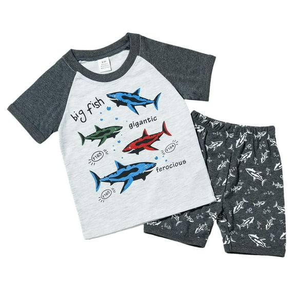 Zshosam Toddler Boy Clothes Set Boy's Clothing Sets 2 Piece Short Sleeve Crew Neck Casual T Shirts Shorts Sets Teen Clothes Size 4T 5T,(Sky Blue 4-5 Years)