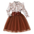 thumbnail image 1 of Zshosam Toddler Dress Girls French Dresses for Toddler to Big Kid Size 3T 4T,(Brown 3-4 Years), 1 of 7