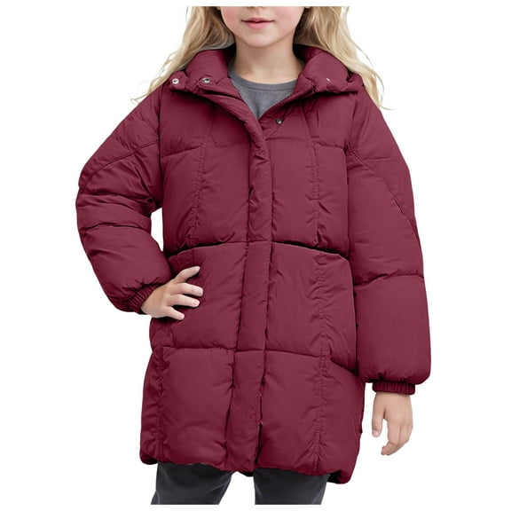 Zshosam Toddler Winter Jacket Baby Girls Hooded Snowsuit Winter Warm Collar Hooded Coat Down Windproof Jacket Outerwear Size 3T 4T,(Wine 3-4 Years)