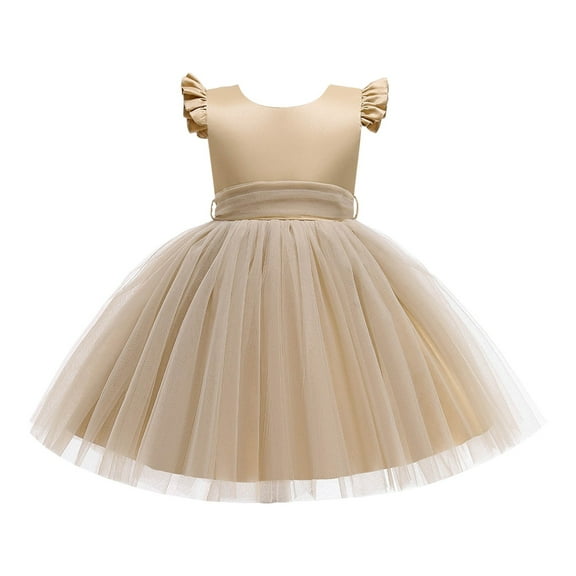 Zszcpp Baby Girl Dresses Mesh Tutu Princess Fly Sleeve Stylish Lightweight Fitted Daily Life Going Out Flower Girl Dresses