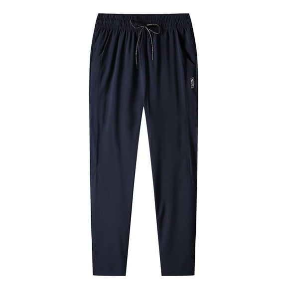 Zszcpp Summer Pants For Mens 2025 Ice Silk Thin Plus Size Quick Drying Recreation Minimalist Elastic Waistband Trousers Casual Trouser