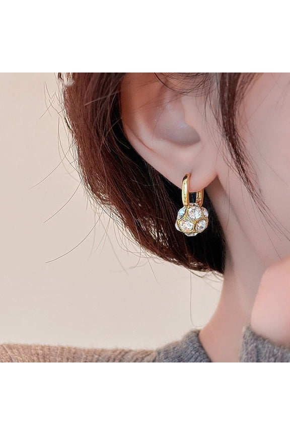 Zuanqiu Earrings for Women, Light Luxury, High-End Fashion, Elegant Ball Earrings, Simple Niche Classic Ear Jewelry, High-End Accessories