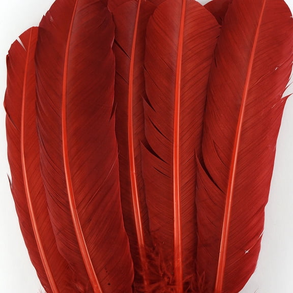 Zucker 10-12 inch Turkey Feathers for Crafts - 4pc Quills for DIY Headpiece, Dream Catcher, Home Decor - Rust Red