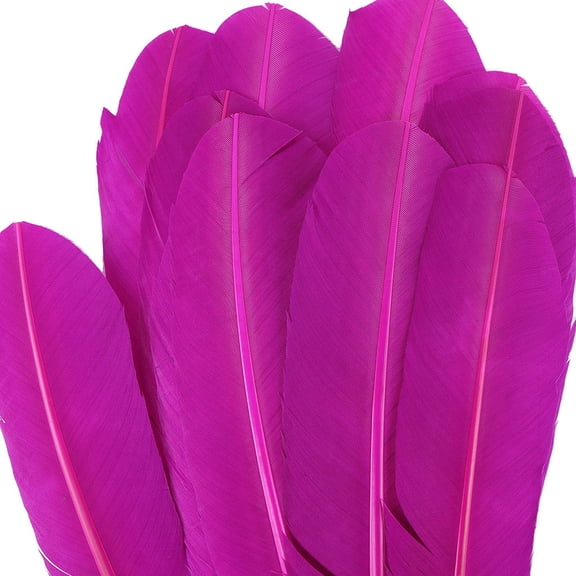 Zucker 10-12 inch Turkey Feathers for Crafts - 4pc Quills for DIY Headpiece, Dream Catcher, Home Decor - Very Berry Purple