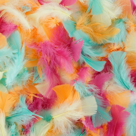Zucker 3-5 inch Turkey Plumage Feathers for Crafts - .50 oz DIY Headdress, Dream Catcher, Home Decor Craft Supplies - Mixed Colors