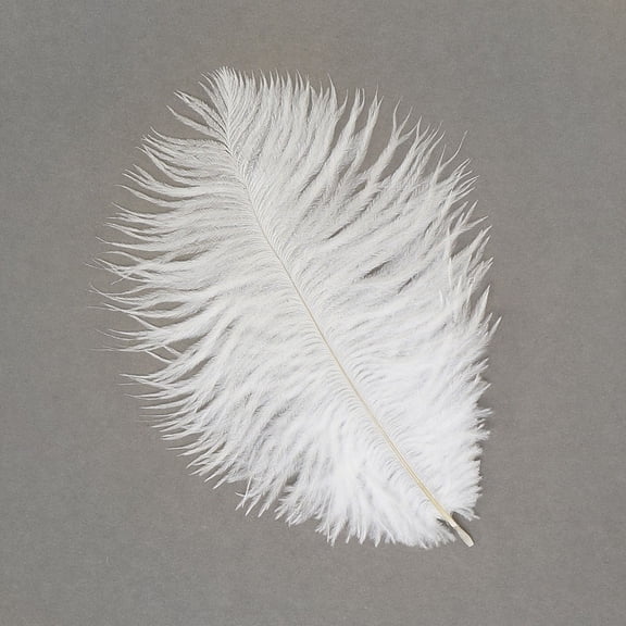 Zucker Feather Ostrich Drab 5-9" 2pc White