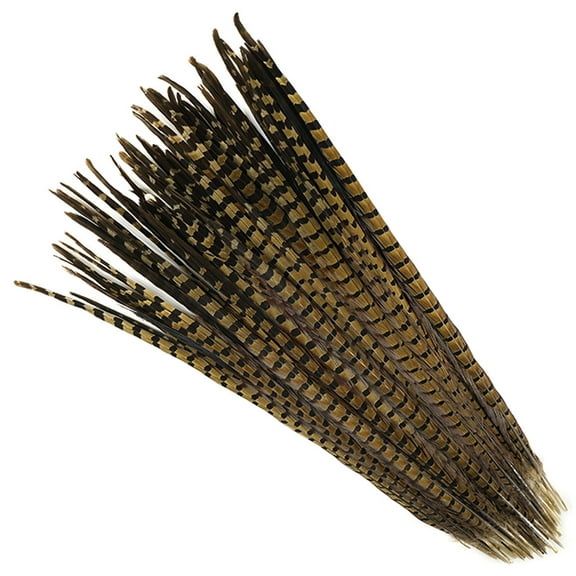 Zucker Feather Product Ringneck Pheasant Tails - Natural - 20 - 24" - 100 pcs