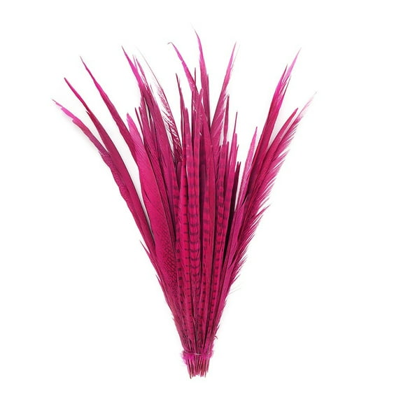 Zucker Feather Products Assorted Pheasant Tails Dyed - 16x30" - Shocking Pink