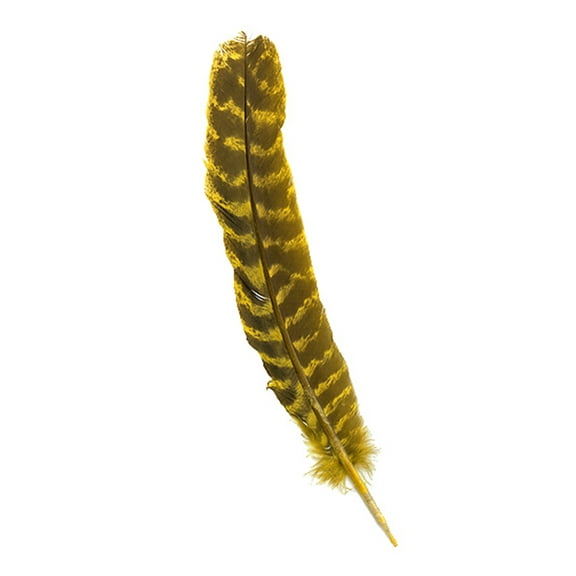 Zucker Feather Products Barred Turkey Quills Selected - Right Wing - 8-12" - Yellow