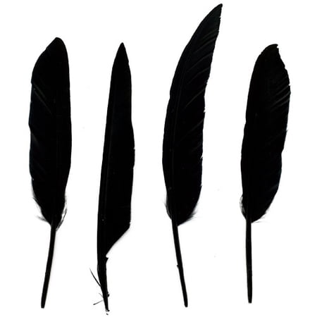 Zucker Feather Products Duck Pointer Feathers - 5-9" - 100pcs - Black