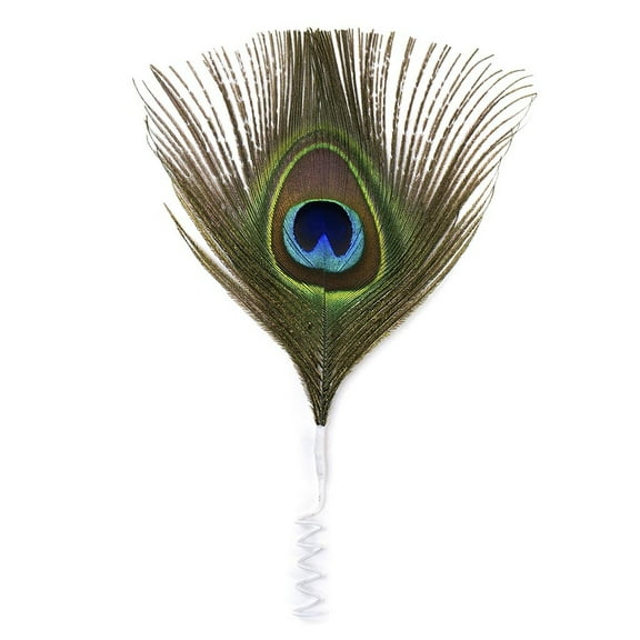 Zucker Feather Products Feather Floral Pick w/Peacock Eye - 2" x 4" - Natural