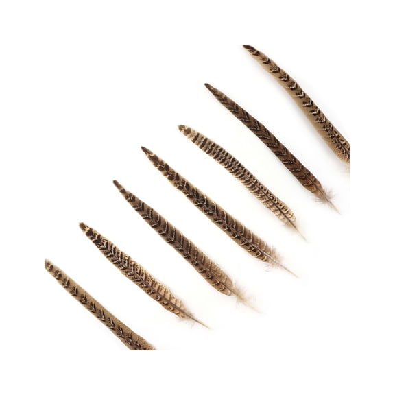 Zucker Feather Products Female Ringneck Pheasant Tails - Natural -10 - 12" - 100 pcs