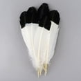 thumbnail image 1 of Zucker Feather Products Imitation Eagle Turkey Quills - Right Wing - 100pcs - 10-12" - Black, 1 of 2