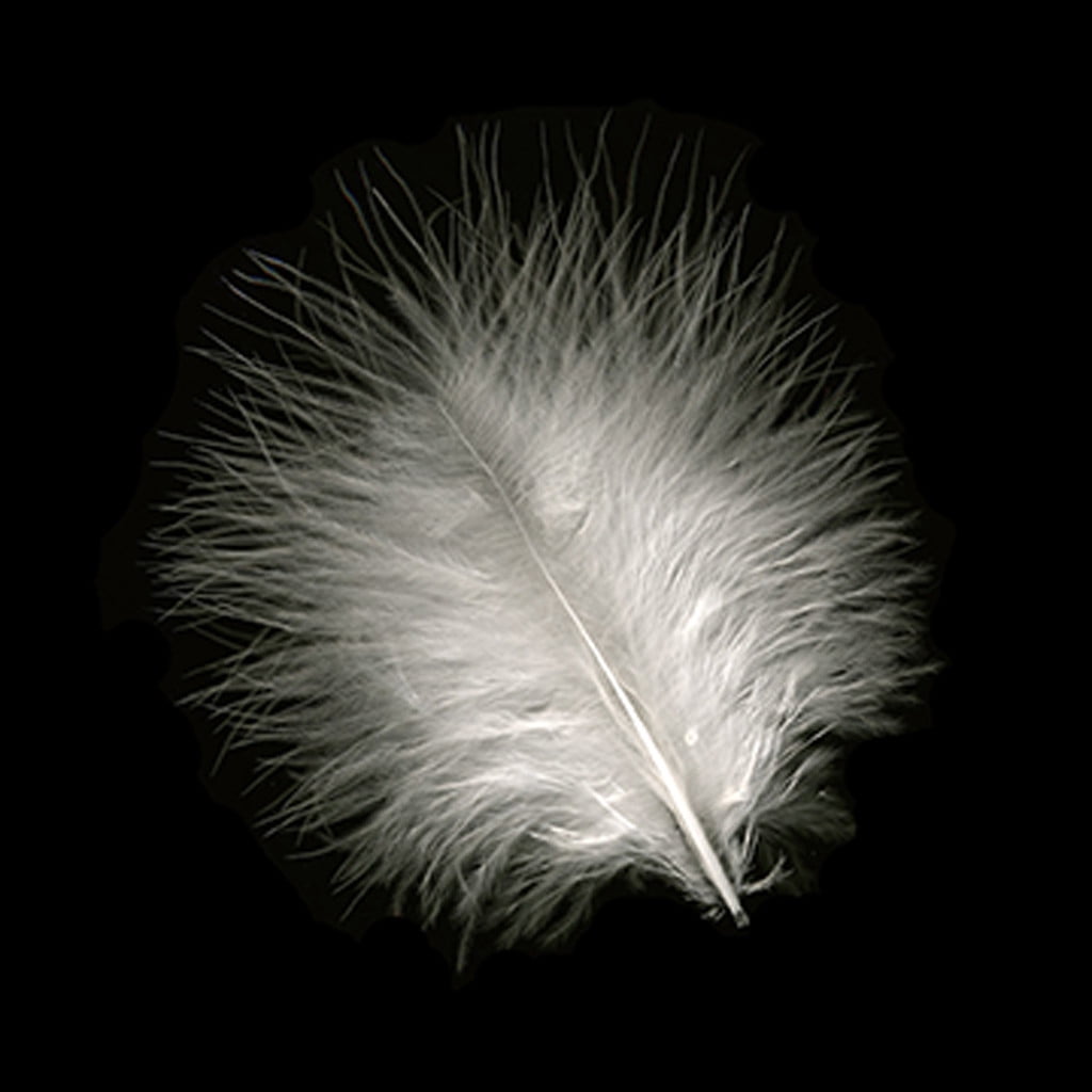 Zucker Feather - Ostrich Drabs Dyed - Black