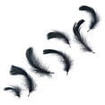 thumbnail image 1 of Zucker Feather Products Loose Goose Coquille Dyed - 3-5" - Black, 1 of 2