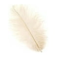 thumbnail image 1 of Zucker Feather Products Ostrich Feather Drabs - 4 - 8" - 200pcs - Beige, 1 of 1