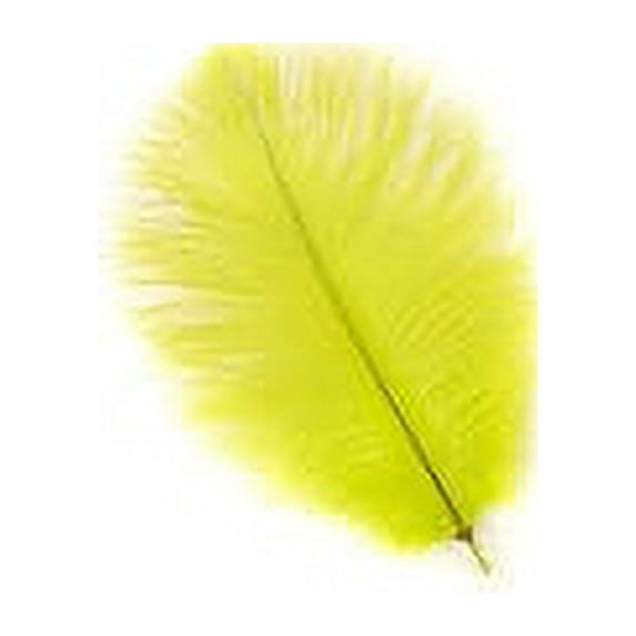 Zucker Feather Products Ostrich Feather Drabs - 4 - 8" - 200pcs - Lime