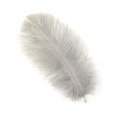 thumbnail image 1 of Zucker Feather Products Ostrich Feather Drabs - 4-8" - Sliver, 1 of 5