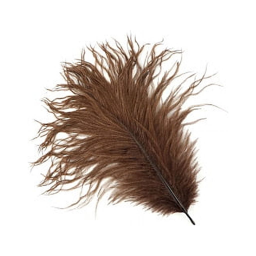 Brown Feathers