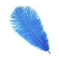 thumbnail image 1 of Zucker Feather Products Ostrich Feathers - Drabs Selected - 13 - 16" - Dark Turquoise, 1 of 7