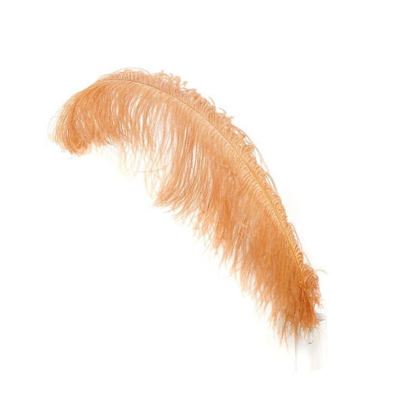 Zucker Feather Products Ostrich Feathers-Prime Femina - 17-25" - Cinnamon
