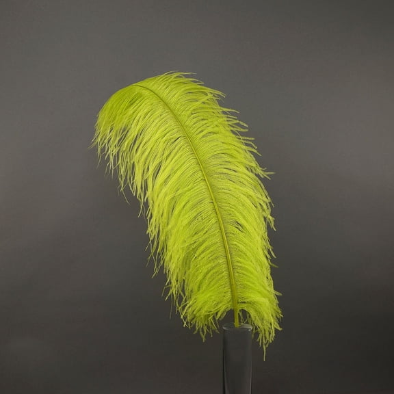 Zucker Feather Products Ostrich Feathers-Prime Femina - 17-25" - Lime