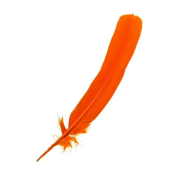 Zucker Feather Products Parried Turkey Quills Selected - 10-12" - 12 pcs - Orange