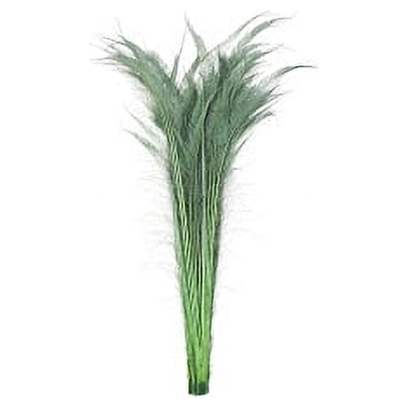 Zucker Feather Products Peacock Swords Bleach Dyed - Celedon