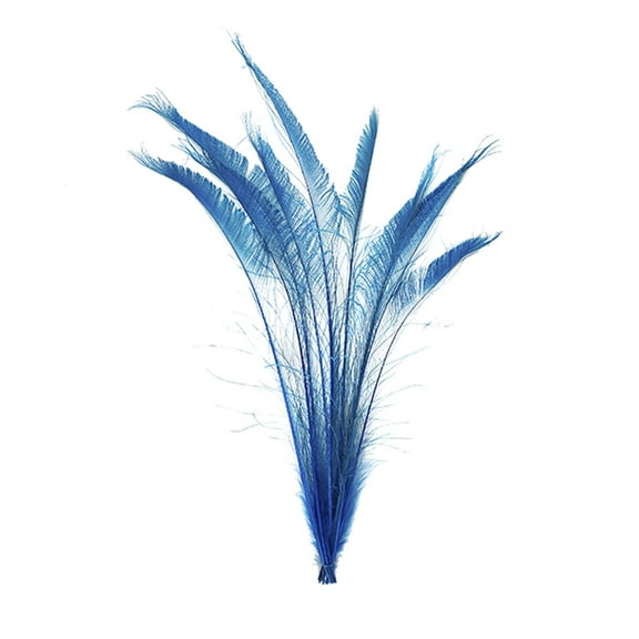 Zucker Feather Products Peacock Swords Bleached/Dyed - 15-25" - 10 pcs - Dark Turquoise