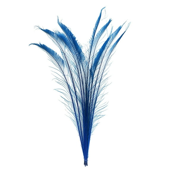 Zucker Feather Products Peacock Swords Bleached - Dyed Feathers - 25-40" - 10 pcs - Dark Turquoise