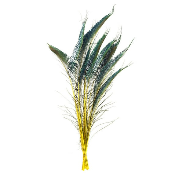 Zucker Feather Products Peacock Swords Stem Dyed - 15-25" - 10pcs - Yellow