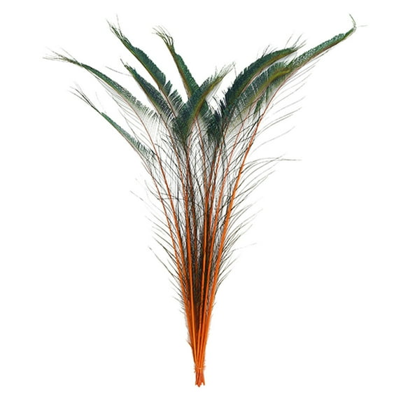 Zucker Feather Products Peacock Swords Stem Dyed Feathers - 25-40" - 10pcs - Orange