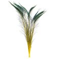 thumbnail image 1 of Zucker Feather Products Peacock Swords Stem Dyed Feathers - 25-40" - 10pcs - Yellow, 1 of 2