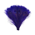 thumbnail image 1 of Zucker Feather Products Peacock Tail Eyes Bleached Dyed - Regal, 1 of 1