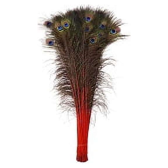 Zucker Feather Products Peacock Tail Eyes - Red