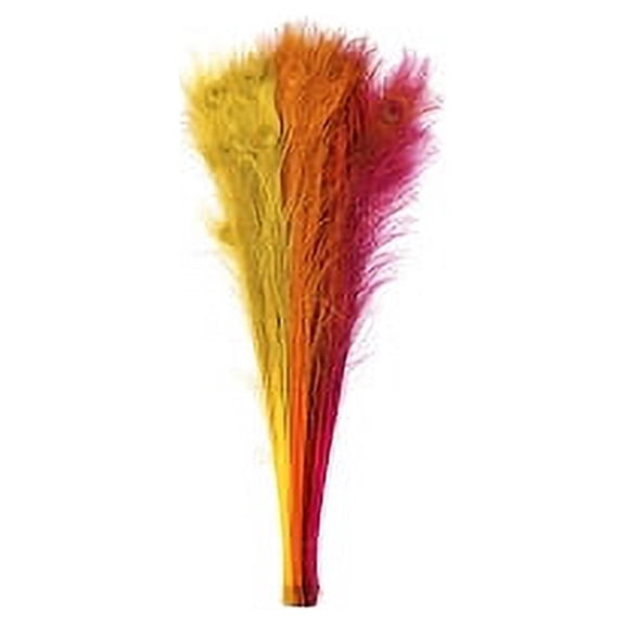 Zucker Feather Products Peacock Tail Eyes Tipped Mix Colors - Fiesta Mix