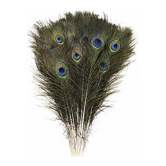 Zucker Feather Products Peacock Tail With Small Eyes - Natural