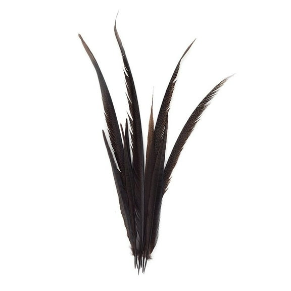Zucker Feather Products Pheasant Tail Feathers Assorted Bleached - 16-30" - 10 pcs - Brown