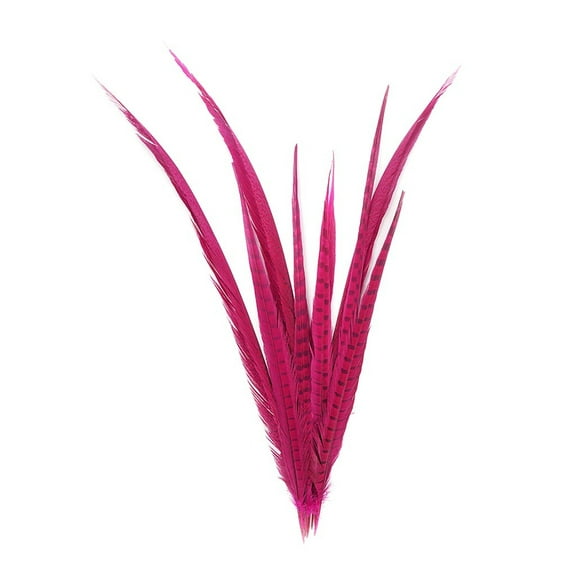 Zucker Feather Products Pheasant Tail Feathers Assorted Bleached - 16-30" - 10 pcs - Shocking Pink