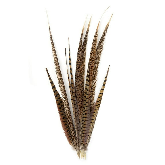Zucker Feather Products Pheasant Tails Assorted -16-30" - 10 PCS - Natural
