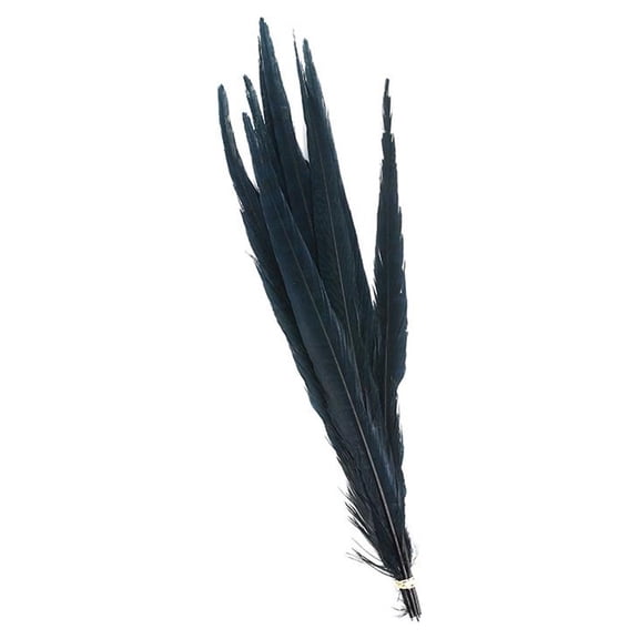 Zucker Feather Products Pheasant Tails Assorted Bleached - 14-18" - 10 pcs - Black