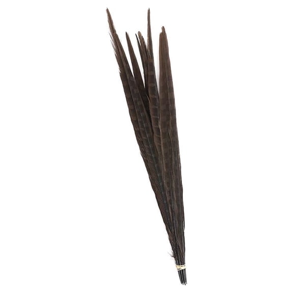 Zucker Feather Products Pheasant Tails Assorted Bleached - 14-18" - 10 pcs - Brown