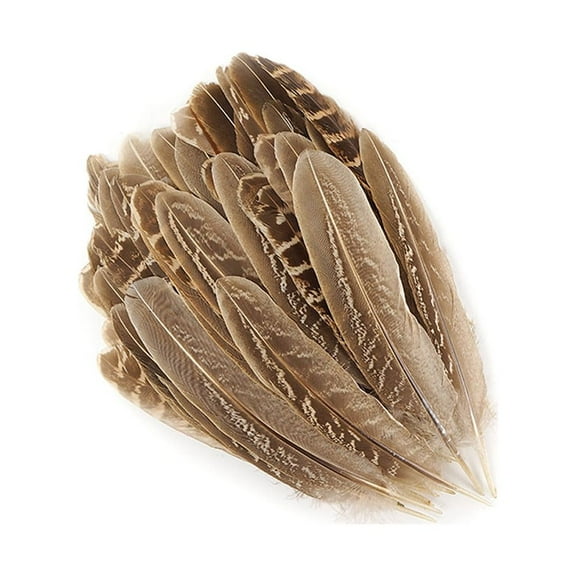 Zucker Feather Products Ringneck Pheasant Rounds - Natural - 4 - 6" - 100 pcs