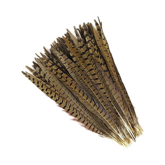 Zucker Feather Products Ringneck Pheasant Tails - Natural - 12 - 14" - 100 pcs