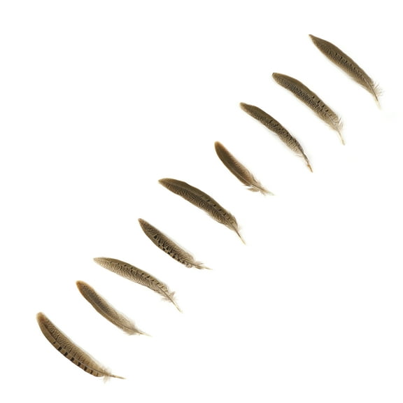 Zucker Feather Products Ringneck Pheasant Tails - Natural - 4 - 6" - 100 pcs