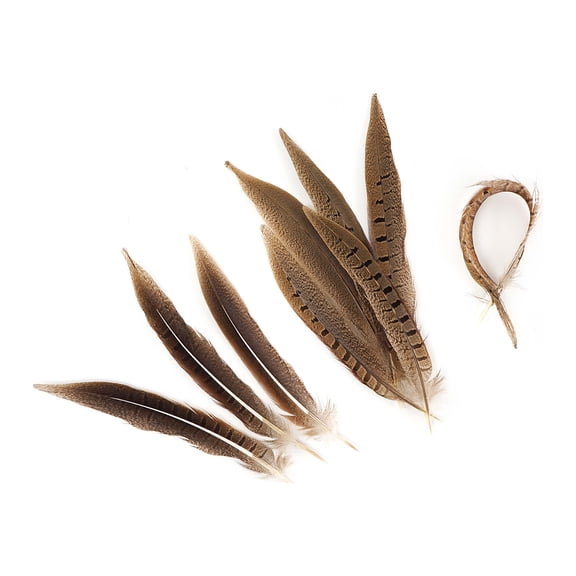 Zucker Feather Products Ringneck Pheasant Tails Parried - Natural - 8-10" - 100 pcs