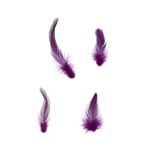 Zucker Feather Products Rooster Hackle-White-Dyed - 3-6" - 1000pcs - Purple