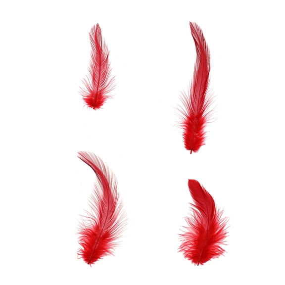 Zucker Feather Products Rooster Hackle-White-Dyed - 3-6" - 1000pcs - Red