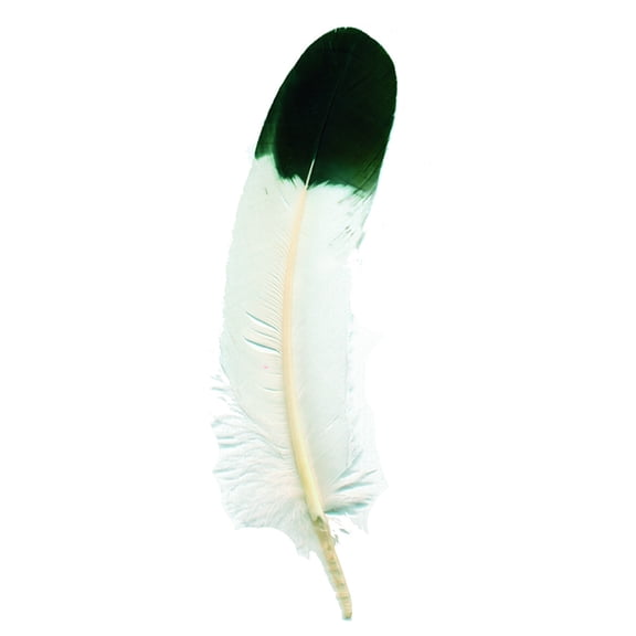 Zucker Feather Products Rooster Imitation Eagle Rounds - 4-7" - Imitation Eagle